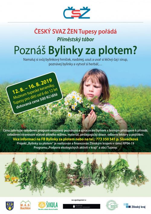 Bylinky za&nbsp;plotem